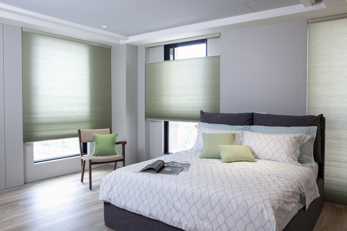 Light Filtering Cellular Shades Premium 3/8" Double Cell