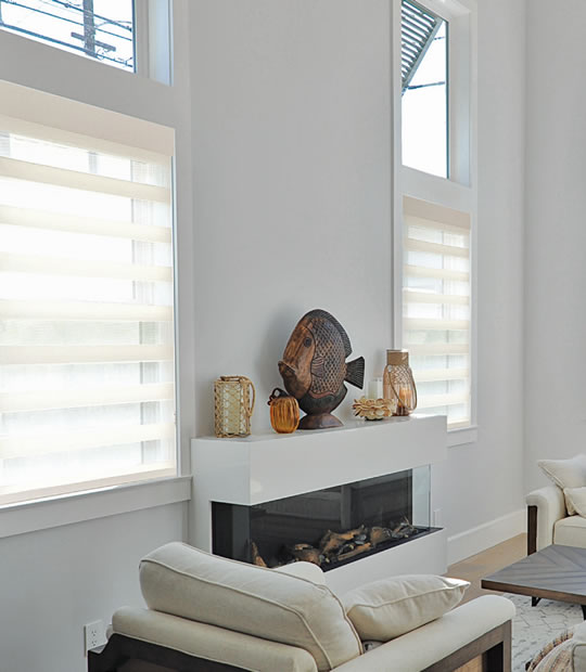 Exquisite Light Filtering Sheer Shades